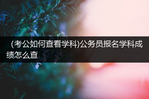 （考公如何查看学科)公务员报名学科成绩怎么查