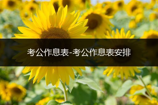 考公作息表-考公作息表安排