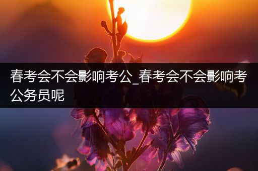 春考会不会影响考公_春考会不会影响考公务员呢