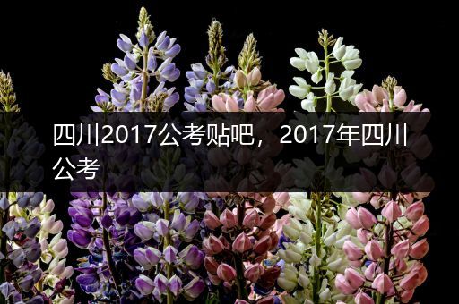 四川2017公考贴吧，2017年四川公考