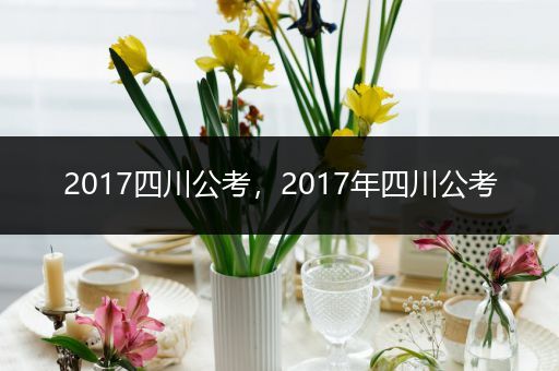 2017四川公考，2017年四川公考