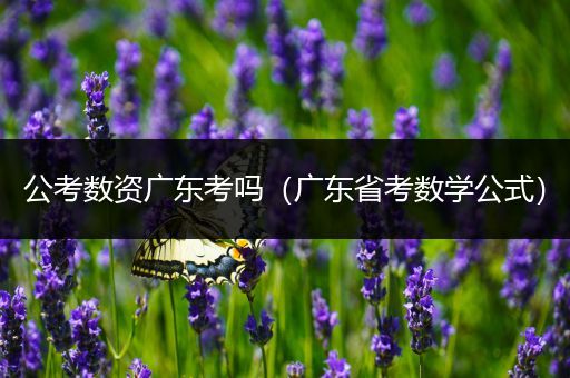 公考数资广东考吗（广东省考数学公式）