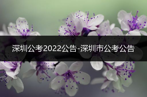 深圳公考2022公告-深圳市公考公告