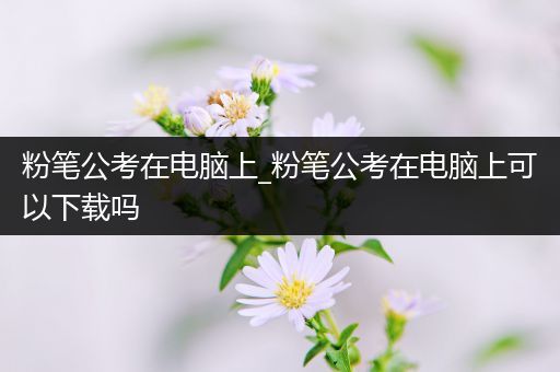 粉笔公考在电脑上_粉笔公考在电脑上可以下载吗