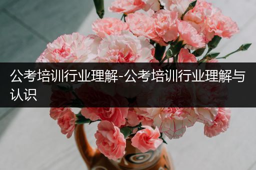 公考培训行业理解-公考培训行业理解与认识