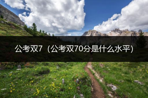 公考双7（公考双70分是什么水平）
