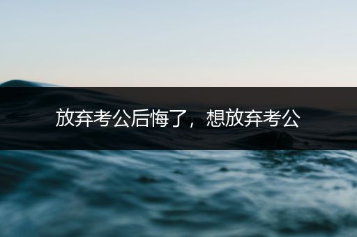 放弃考公后悔了，想放弃考公