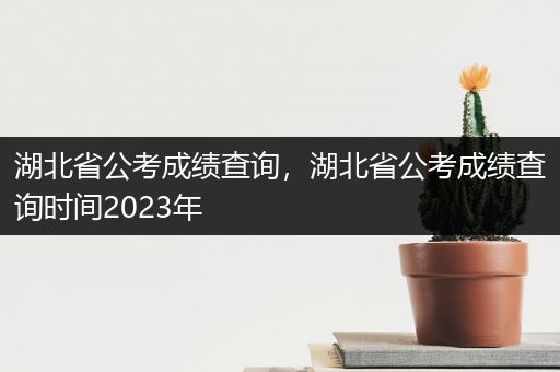 湖北省公考成绩查询，湖北省公考成绩查询时间2023年