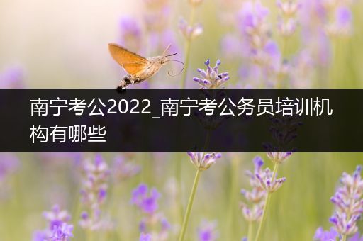 南宁考公2022_南宁考公务员培训机构有哪些