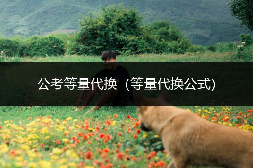 公考等量代换（等量代换公式）