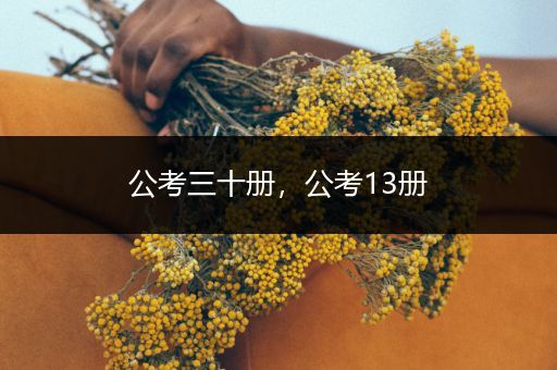 公考三十册，公考13册