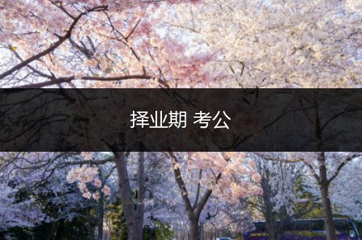 择业期 考公