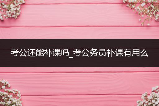 考公还能补课吗_考公务员补课有用么