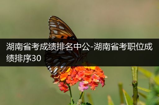 湖南省考成绩排名中公-湖南省考职位成绩排序30