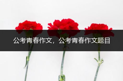 公考青春作文，公考青春作文题目