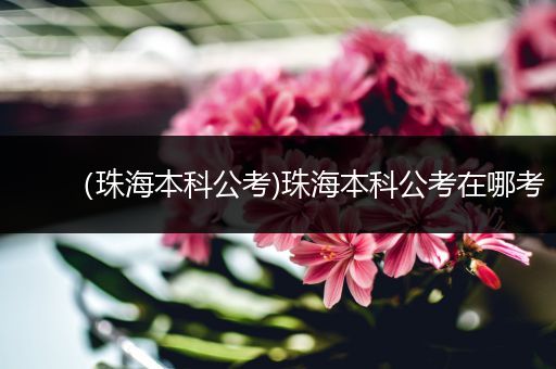 （珠海本科公考)珠海本科公考在哪考