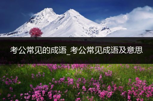 考公常见的成语_考公常见成语及意思