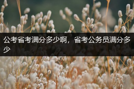 公考省考满分多少啊，省考公务员满分多少