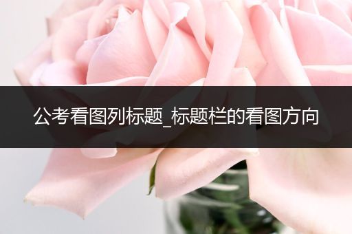 公考看图列标题_标题栏的看图方向