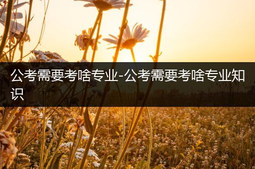 公考需要考啥专业-公考需要考啥专业知识