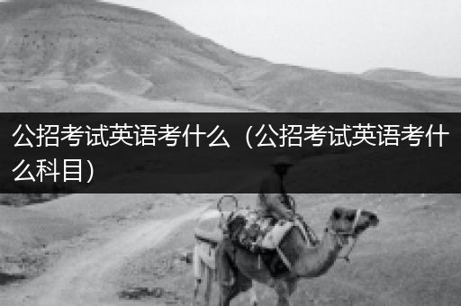 公招考试英语考什么（公招考试英语考什么科目）