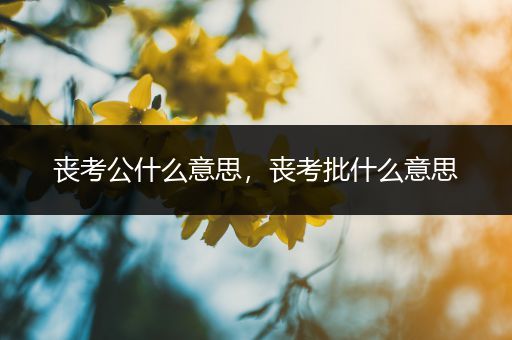 丧考公什么意思，丧考批什么意思