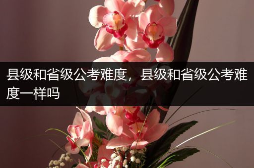 县级和省级公考难度，县级和省级公考难度一样吗