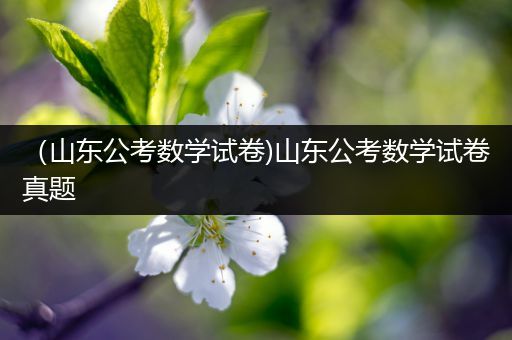 （山东公考数学试卷)山东公考数学试卷真题