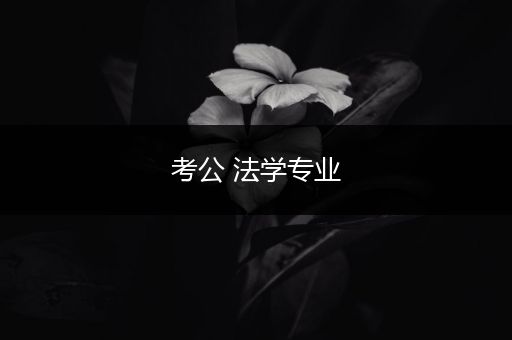 考公 法学专业