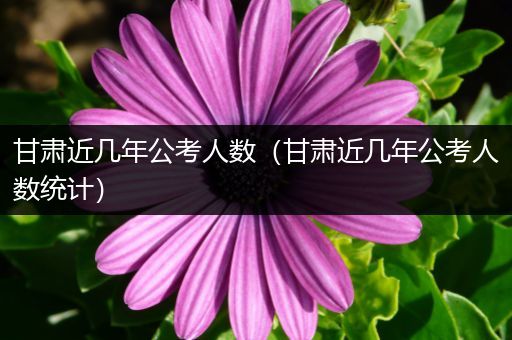甘肃近几年公考人数（甘肃近几年公考人数统计）