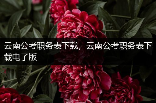 云南公考职务表下载，云南公考职务表下载电子版