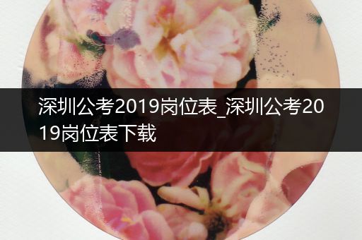 深圳公考2019岗位表_深圳公考2019岗位表下载