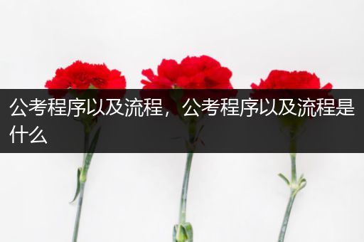 公考程序以及流程，公考程序以及流程是什么