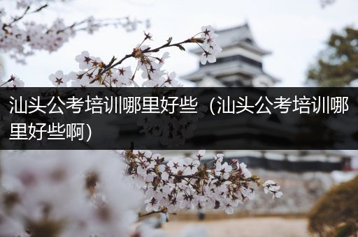 汕头公考培训哪里好些（汕头公考培训哪里好些啊）