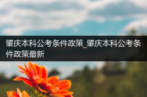 肇庆本科公考条件政策_肇庆本科公考条件政策最新