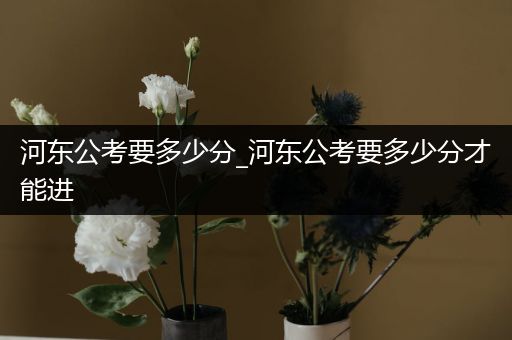 河东公考要多少分_河东公考要多少分才能进