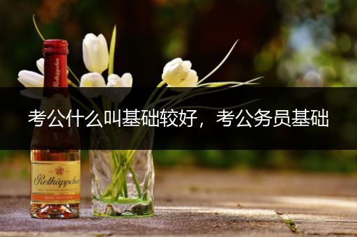 考公什么叫基础较好，考公务员基础