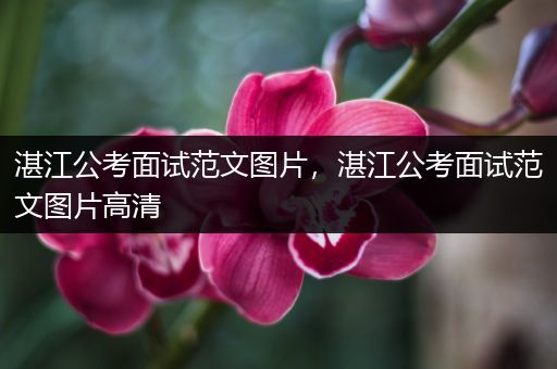 湛江公考面试范文图片，湛江公考面试范文图片高清