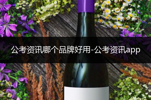 公考资讯哪个品牌好用-公考资讯app