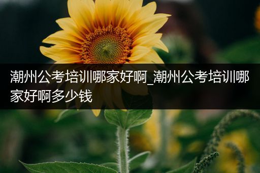 潮州公考培训哪家好啊_潮州公考培训哪家好啊多少钱
