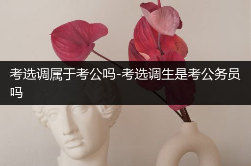 考选调属于考公吗-考选调生是考公务员吗