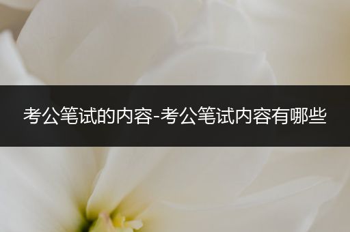 考公笔试的内容-考公笔试内容有哪些