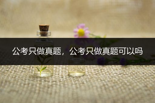 公考只做真题，公考只做真题可以吗