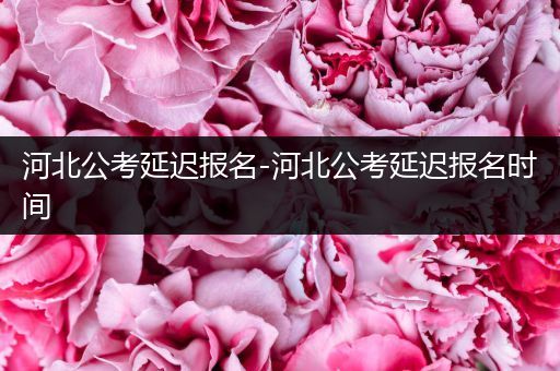 河北公考延迟报名-河北公考延迟报名时间