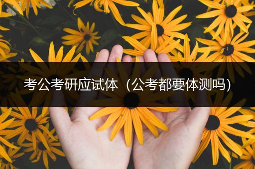考公考研应试体（公考都要体测吗）