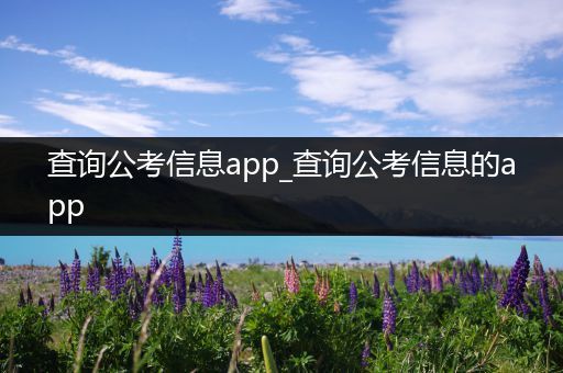 查询公考信息app_查询公考信息的app