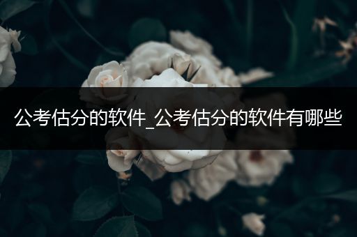 公考估分的软件_公考估分的软件有哪些
