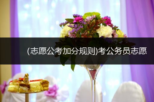 （志愿公考加分规则)考公务员志愿