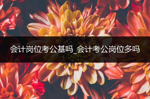 会计岗位考公基吗_会计考公岗位多吗
