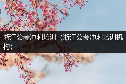 浙江公考冲刺培训（浙江公考冲刺培训机构）